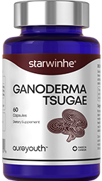 Starwinhe Ganoderma tsugae Capsule